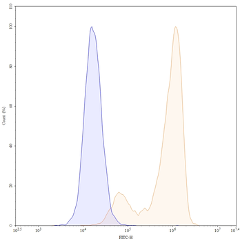 CD66e/CEA/CEACAM5 Mouse Monoclonal Antibody (FITC)