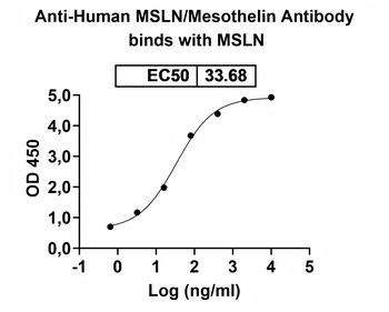 MSLN/Mesothelin Mouse Monoclonal Antibody