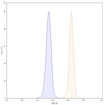 CD172a/SIRPA Mouse Monoclonal Antibody