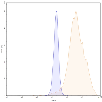 VSIG4/CRIg Mouse Monoclonal Antibody