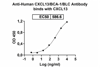 CXCL13/BCA-1/BLC Mouse Monoclonal Antibody