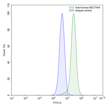 NECTIN4/PVRL4 Human Monoclonal Antibody