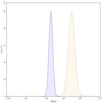 IL1A/IL1F1 Mouse Monoclonal Antibody
