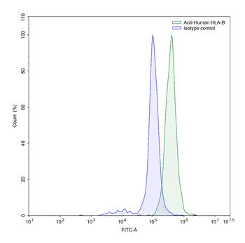 HLA-B*27 Mouse Monoclonal Antibody