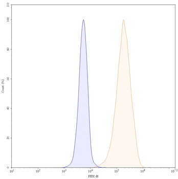 CD93/C1qR Mouse Monoclonal Antibody