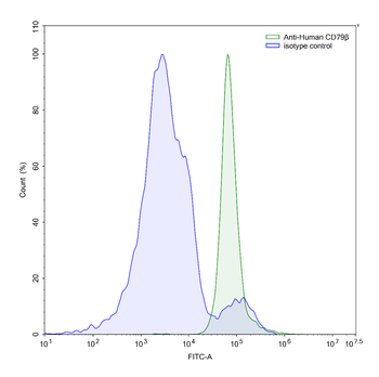 CD79β/CD79B Mouse Monoclonal Antibody