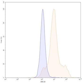 CD66e/CEA/CEACAM5 Mouse Monoclonal Antibody