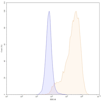 CD66e/CEA/CEACAM5 Human Monoclonal Antibody