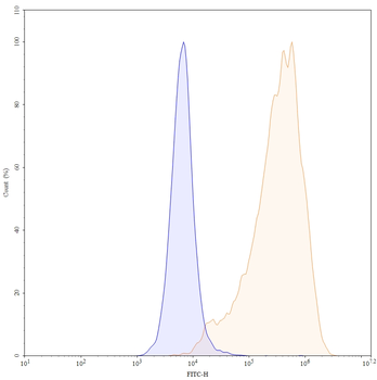 CD66e/CEA/CEACAM5 Human Monoclonal Antibody