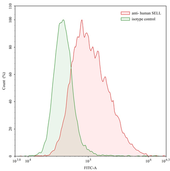CD62L/SELL Human Monoclonal Antibody