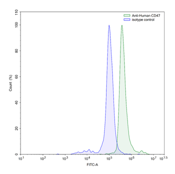 CD47/MER6 Mouse Monoclonal Antibody
