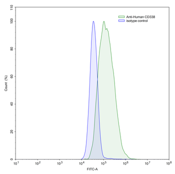 CD338/ABCG2 Mouse Monoclonal Antibody
