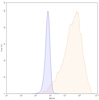CD28 Mouse Monoclonal Antibody