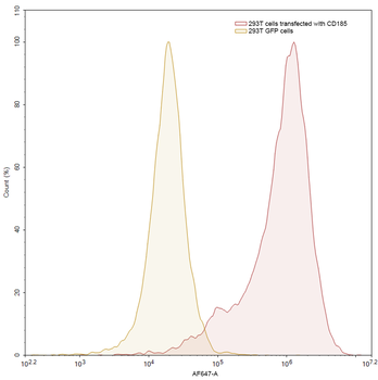 CD185/CXCR5 Human Monoclonal Antibody