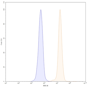 CD172a/SIRPA Mouse Monoclonal Antibody