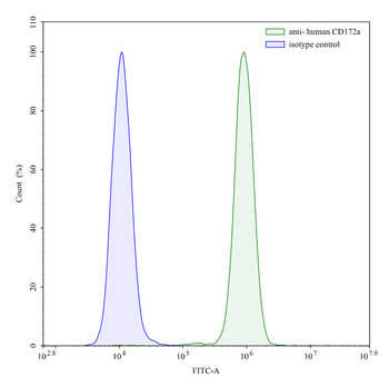 CD172a/SIRPA Mouse Monoclonal Antibody