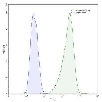 CD146/MUC18/MCAM Mouse Monoclonal Antibody