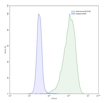 SLC1A5 Human Monoclonal Antibody
