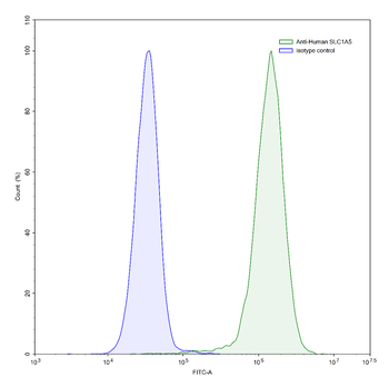 SLC1A5 Human Monoclonal Antibody