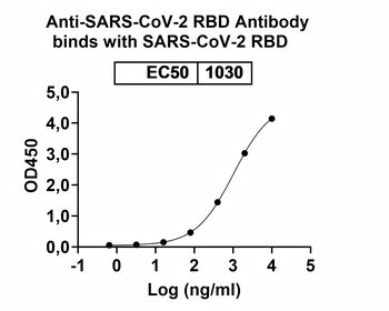 SARS-CoV-2 RBD Human Monoclonal Antibody