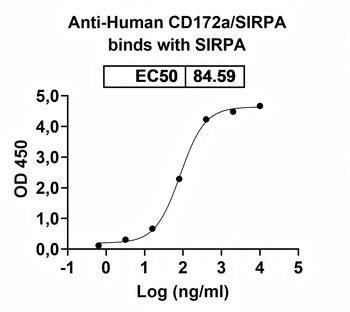CD172a/SIRPA Human Monoclonal Antibody