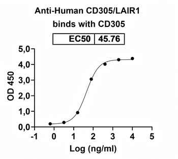 CD305/LAIR1 Human Monoclonal Antibody