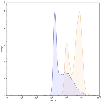 IL10 Human Monoclonal Antibody