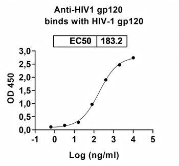 HIV1 gp120/Glycoprotein 120 Human Monoclonal Antibody