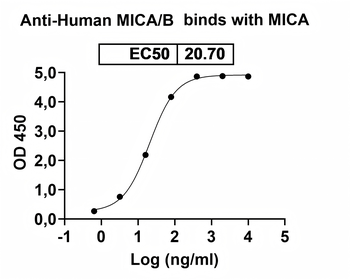 MICA/B Human Monoclonal Antibody