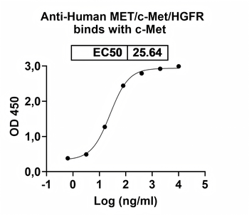 MET/c-Met/HGFR Human Monoclonal Antibody