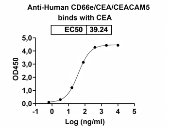 CD66e/CEA/CEACAM5 Human Monoclonal Antibody