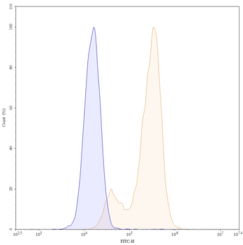 CD66e/CEA/CEACAM5 Human Monoclonal Antibody