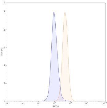 CD9 Human Monoclonal Antibody