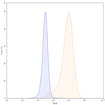 CD272/BTLA Human Monoclonal Antibody