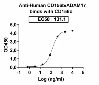 CD156b/ADAM17 Human Monoclonal Antibody