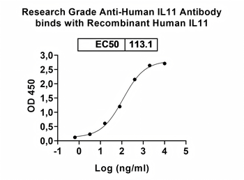 IL11 Human Monoclonal Antibody