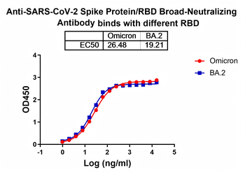 SARS-CoV-2 Spike Protein / RBD Human Monoclonal Antibody
