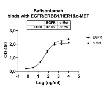 Bafisontamab Human Monoclonal Antibody