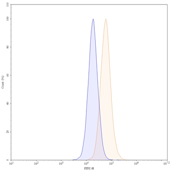 Voxalatamab Human Monoclonal Antibody