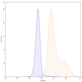 Tarlatamab Human Monoclonal Antibody