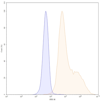 Belantamab Human Monoclonal Antibody