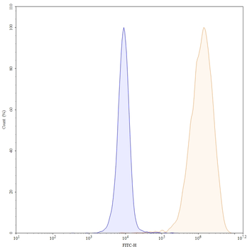 Durvalumab Human Monoclonal Antibody