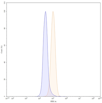 Pertuzumab Human Monoclonal Antibody