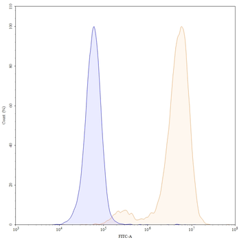 Pertuzumab Human Monoclonal Antibody