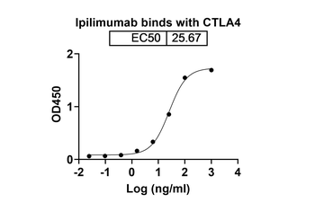 Ipilimumab Human Monoclonal Antibody