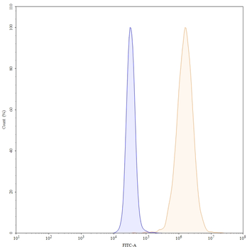 Panitumumab Human Monoclonal Antibody