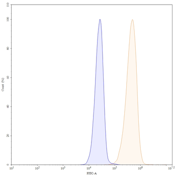 Panitumumab Human Monoclonal Antibody