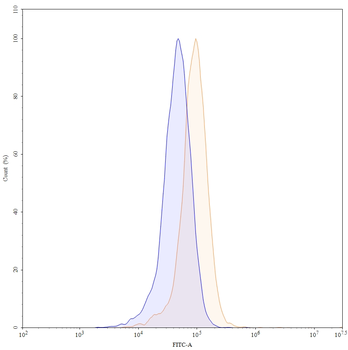 Bevacizumab Human Monoclonal Antibody