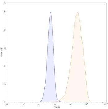 Tidutamab Human Monoclonal Antibody
