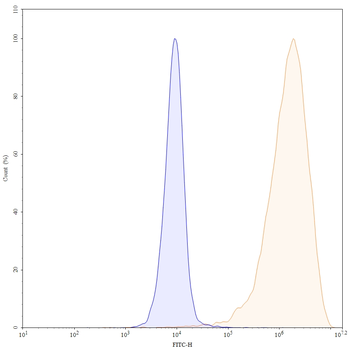Tidutamab Human Monoclonal Antibody
